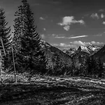 Alpenblick