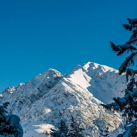 Guest house Alpenblick