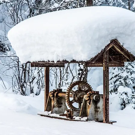 Alpenblick Guest house 3*