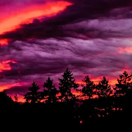 Alpenblick Гостевой дом