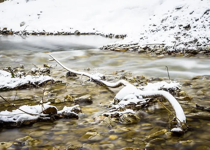招待所 Alpenblick 巴赫