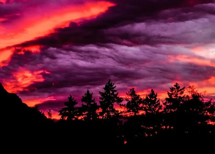 Alpenblick Maison d'hôtes