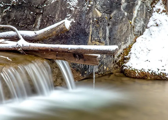 Alpenblick Maison d'hôtes