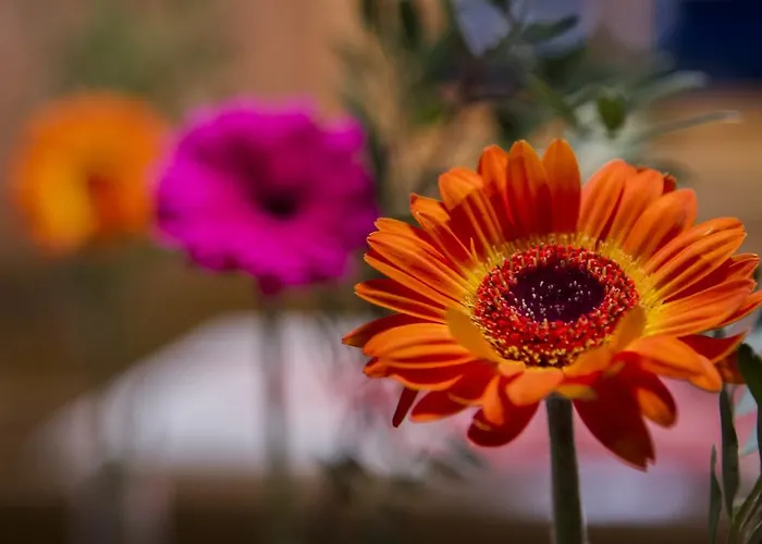 Maison d'hôtes Alpenblick 3*